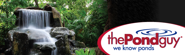 Crystal Clear Water Made Simple